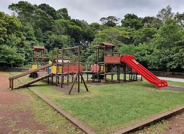 portugal/azores/attraction/reserva-florestal-de-recreio-do-pinhal-da-paz