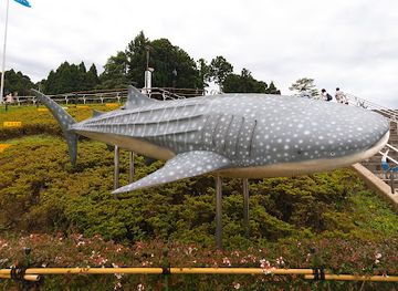 japan/tajima/attraction/notojima-aquarium