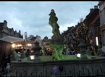 poland/greater-poland/attraction/military-museum-of-wielkopolska