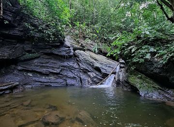 trinidad-and-tobago/caroni/attraction/morang-pool-and-waterfall