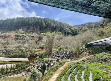vietnam/dalat/attraction/thung-lung-hong