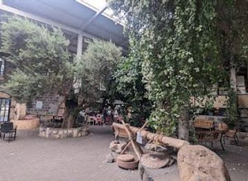 jordan/irbid/attraction/olea-essence