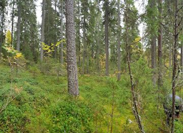 finland/archipelago-national-park/attraction/sallaajarvi-nature-trail
