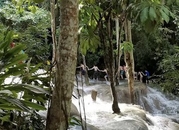 jamaica/montego-bay/attraction/suavetoursja