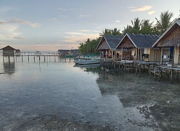 indonesia/south-papua/attraction/barefoot-conservation