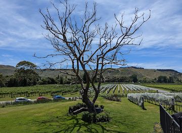 new-zealand/hawke-s-bay/attraction/linden-estate-winery