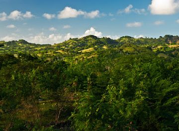 dominican-republic/cordillera-central/attraction/national-park-el-choco-y-las-cuevas-de-cabarete