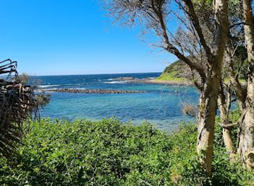 australia/illawarra/attraction/the-boneyard-beach