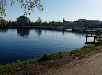 finland/savonlinna/attraction/marja-liisa-vartion-puisto