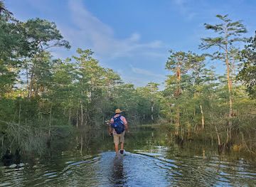 florida/big-cypress-national-preserve/attraction/trail-head-for-big-cypress-wildlife-management-area