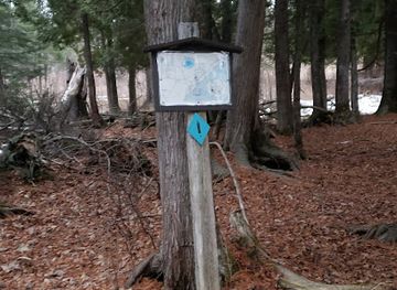 minnesota/lutsen-mountains/attraction/norpine-trail-deertrack-loop-i