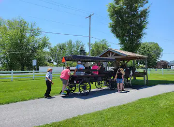 Aaron and Jessica’s Buggy Rides