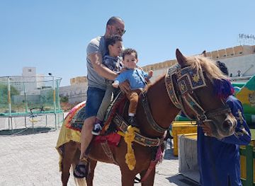 tunisia/the-cap-bon-peninsula/attraction/mickey-mike-park