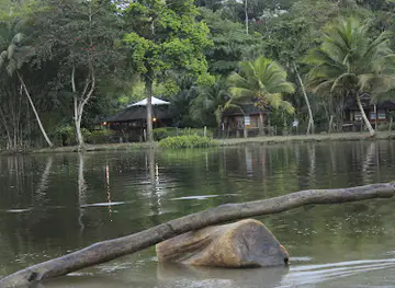 Grand Riviere Beach