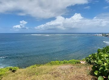 Brews lookout