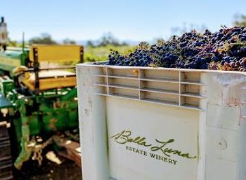 california/pismo-beach/attraction/bella-luna-estate-winery