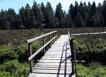 germany/thuringian-forest/attraction/schutzenbergmoor