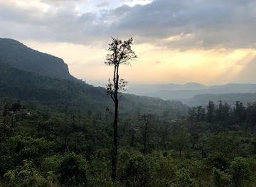 india/malabar-coast/attraction/bonacaud-trivandrum