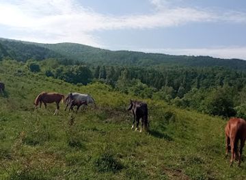 bulgaria/vitosha-mountain/attraction/konna-baza-alaya-i-meri