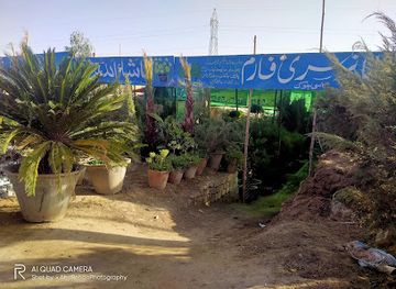 pakistan/quetta/attraction/aryana-nursery