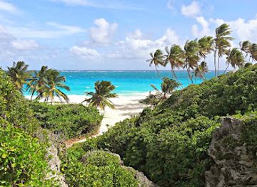 barbados/east-coast/attraction/bottom-bay