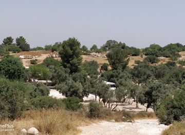 israel/shephelah/attraction/agricultural-installations