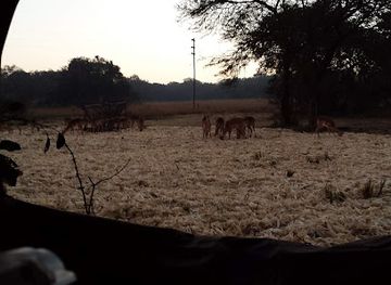 zimbabwe/mashonaland-east/attraction/makuwe-conservancy