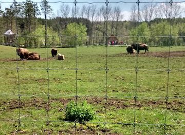 Shalom Wildlife Zoo
