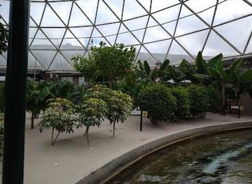 florida/orlando/attraction/living-with-the-land-glimmering-greenhouses