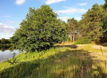 poland/kurpie/attraction/puszcza-biala