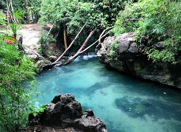 thailand/surat-thani/attraction/klong-namsai