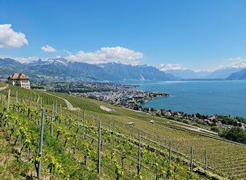 switzerland/lausanne/attraction/terrasses-viticoles-de-lavaux