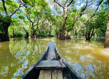 bangladesh/ratargul-swamp-forest/attraction/ratargul-swamp-forest-boat-station