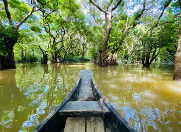 Ratargul Swamp Forest Boat Station