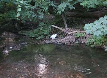 germany/teutoburg-forest/attraction/werre-strand