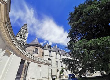 france/tours/attraction/le-cedre-du-liban