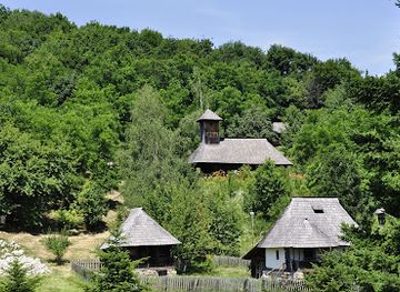 romania/valcea/attraction/muzeul-satului-valcean