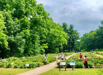 michigan/ann-arbor/attraction/university-of-michigan-nichols-arboretum