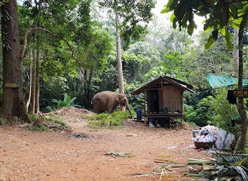 thailand/trat/attraction/ban-kwan-chang-elephant-camp