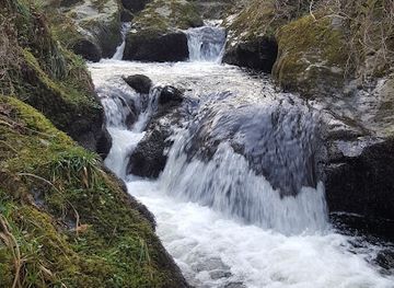 isle-of-man/ballasalla/attraction/colby-glen