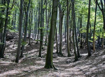 hungary/vertes-mountains/attraction/ko-volgy