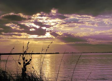 florida/southeast-florida/attraction/emerson-point-preserve