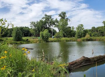 illinois/cicero/attraction/west-ridge-nature-park