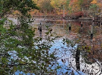 new-jersey/jersey-shore/attraction/allaire-state-park