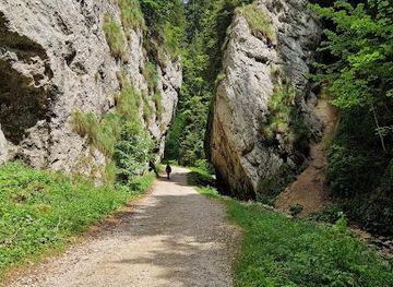 romania/brasov/attraction/zarnesti-cliffs