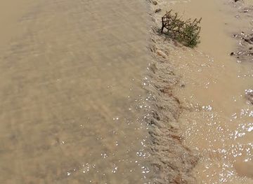 iraq/amara/attraction/bustan-hussein-al-sheikh-radi