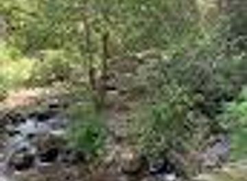 argentina/salta/attraction/oficina-de-informacion-turistica-quebrada-de-san-lorenzo