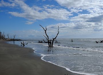 south-carolina/sea-islands/attraction/capers-island-south-carolina