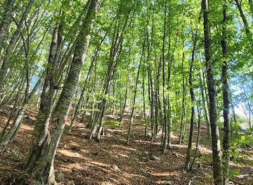 albania/tirana/mount-dajti-national-park/attraction/kalaja-e-dajtit