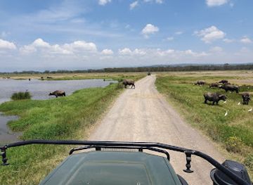 kenya/lake-nakuru-national-park/attraction/muya-causeway